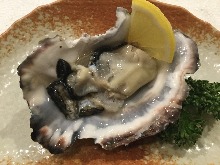 Raw oyster