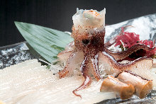 Squid sashimi