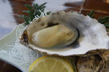 Unsalted grilled oyster