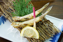 Shishamo smelt with roe