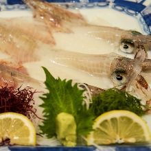 Squid sashimi