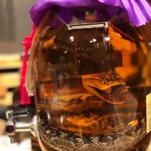 Okinawan Snake Wine