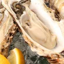 Raw oyster