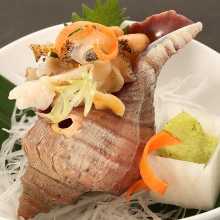 Sakhalin surf clam sashimi