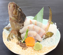 Ikejime rockfish (sashimi)
