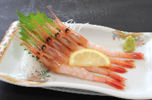 Ama ebi (pink shrimp) sashimi