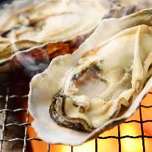 Grilled oysters