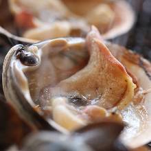 Seared sakhalin surf clam