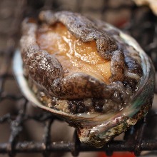 Grilled live abalone