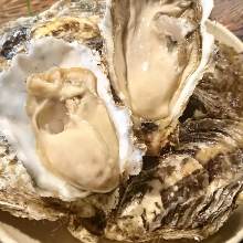 Raw oyster