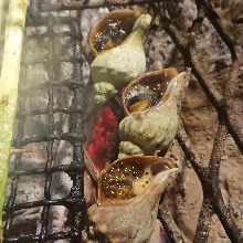 Grilled live whelk