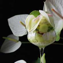 Anthurium parfait -Enthusiastic melon-