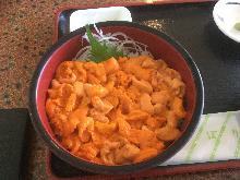 Red bafun sea urchin rice bowl