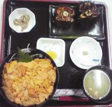 Sea urchin rice bowl set