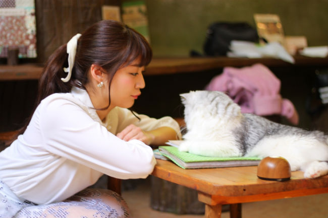 cat_cafe