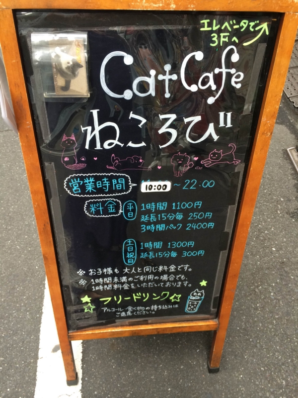 Catcafe
