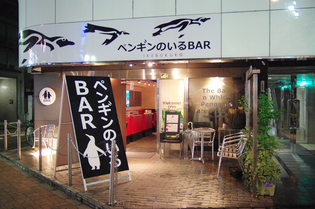 Experiencing the Only Penguin Bar in Tokyo