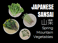 Japanese Sansai: 9 Spring Mountain Vegetables from Japan
