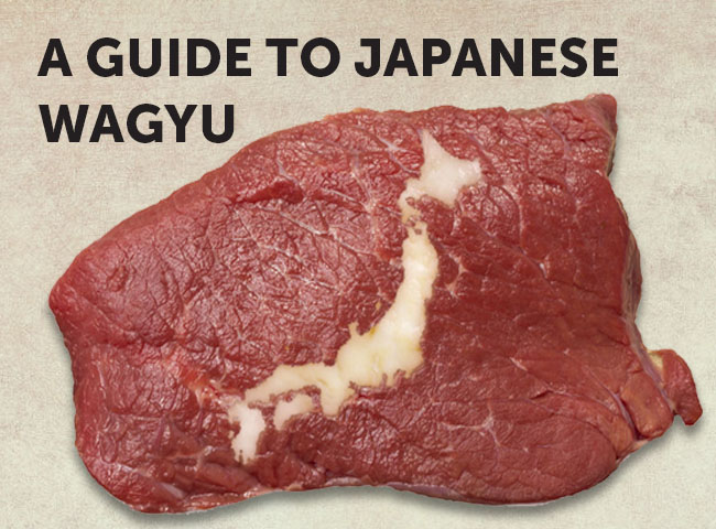 A Guide to Wagyu: Premium Japanese Beef