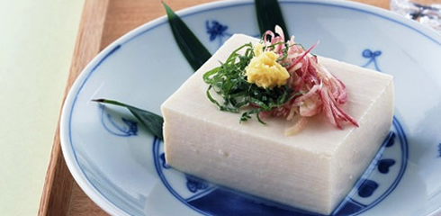 Tofu | Articles on Japanese Restaurants | Japan Restaurant Guide by Gourmet Navigator