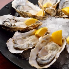 An Oyster Shucking Experience