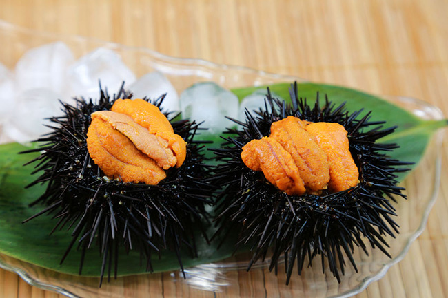 Uni, ウニ (Sea Urchin) — Sushi Modern