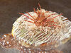 Other okonomiyaki / flour-based dishes Other okonomiyaki / flour-based dishes