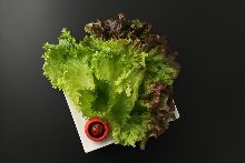 Vegetables for wrapping