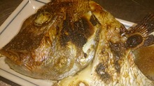 Salted and grilled snapper