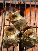 Grilled turban shell