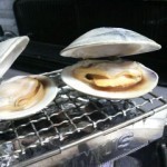 Grilled common orient clams