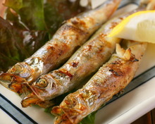 Shishamo smelt with roe