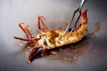 Grilled spiny lobster