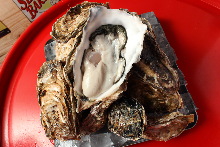 Oyster teppanyaki