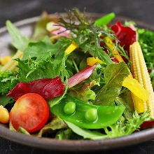 Vegetable salad