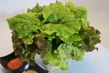 Vegetables for wrapping