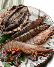 Live Abalone
