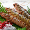 Live tiger prawn