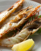 Salted and grilled prawn