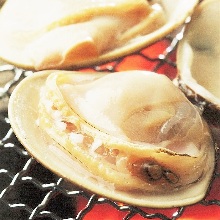 Grilled common orient clams