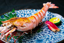 Salted and grilled prawn