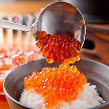 Salmon roe rice bowl