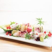 Sashimi