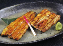 Grilled eel without seasoning