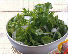 Coriander salad