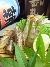 Japanese tiger prawn (sashimi)