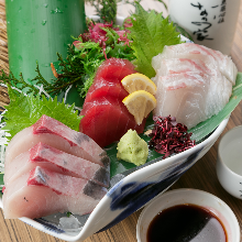 Assorted sashimi of the day