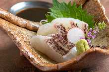 Madai(red seabream)