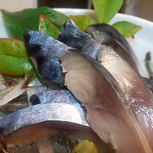 Japanese pickled mackerel sashimi