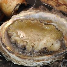 Charcoal grilled abalone